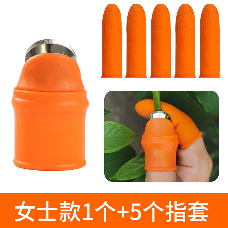 여성용 엄지칼 1개 + 장갑 5개