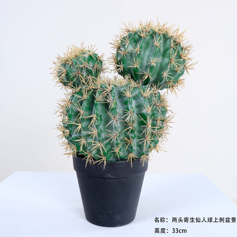 仿真龙神柱仙人掌寄生仙人球摩洛哥沙生植物造景软装样板工程装饰|undefined