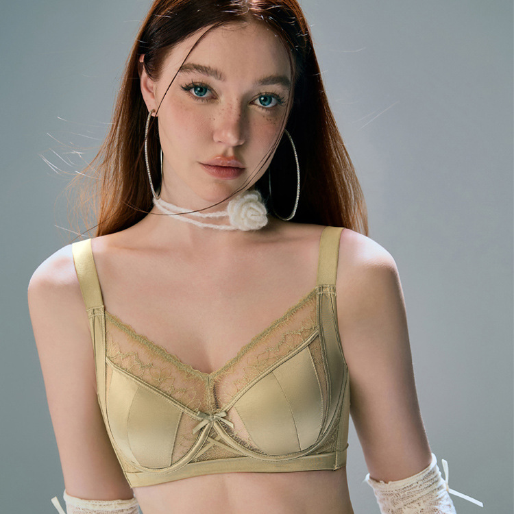 El año de la vida, la ropa interior de satén de encaje sexy francés, las mujeres son delgadas y los pechos grandes son pequeños y sin costuras, sujetador de pecho ajustable