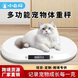 体重秤;智能体重秤;厨房秤