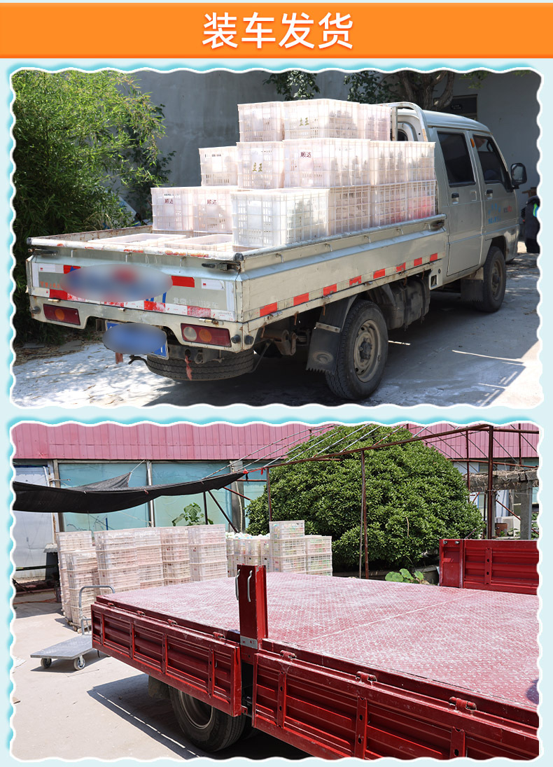 小石头套详情_20