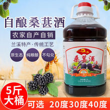 桑葚酒自酿桑葚果酒农家桑果酒侵泡型桑椹酒桶装5斤