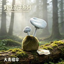 ���l����ȤζҰ������СĢ���b[��ë�q��ż����Ģ�������ѶY��
