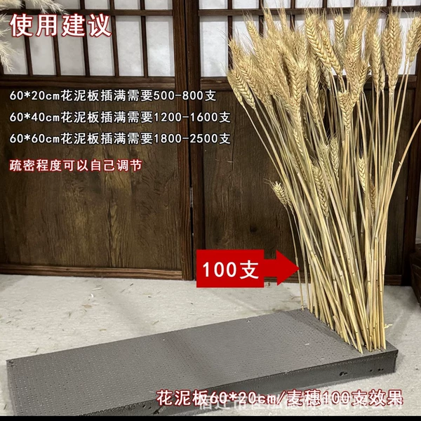 100 pieces of original color wheat ears [Rendering]