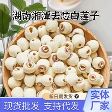 净重莲子500g干货白莲子去芯磨皮白莲湘潭特产农家自产无芯白莲子