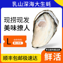 ���ʰ���������r��ɽ����r�Ϡ���ش��r����ĵϠ��S���]