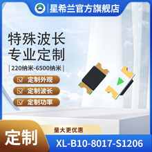 ��ϣ��800-1750nm��ֵ1600nm InGaAs��������1206��װG13176-00