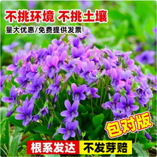 �ϻ��ض��N������ș���ϻ��ض����N���ļ��Nֲ����ș�ÿ�ض��N��