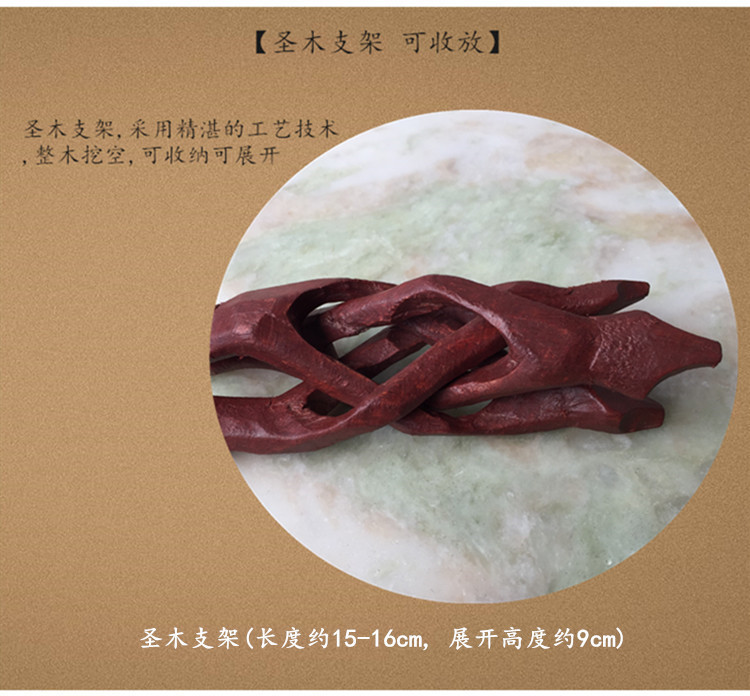 澳洲白鲍鱼贝壳大海螺创意家居摆件烧鼠尾草容器观赏鱼缸盆栽装饰 图 9