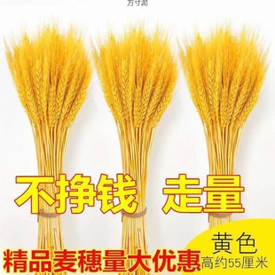Wheat ear dried flower bouquet living room display flower gold wheat ear dried flower flower arrangement decorations source factory a wholesale