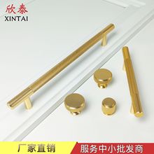 �L�����ֽ�ɫ���L�X�Ͻ��Ͳę��T�T���֬F���p�ݳ��Ь������