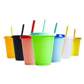 新款材质感温塑料变色杯 夏季多样新品创意水杯 PP冷水变色吸管杯
