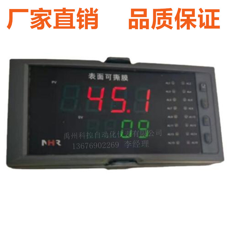 NHR-5720A-14-00/X/X/X-A  NHR-5720A-55-00/X/D1/X-A多路巡检仪