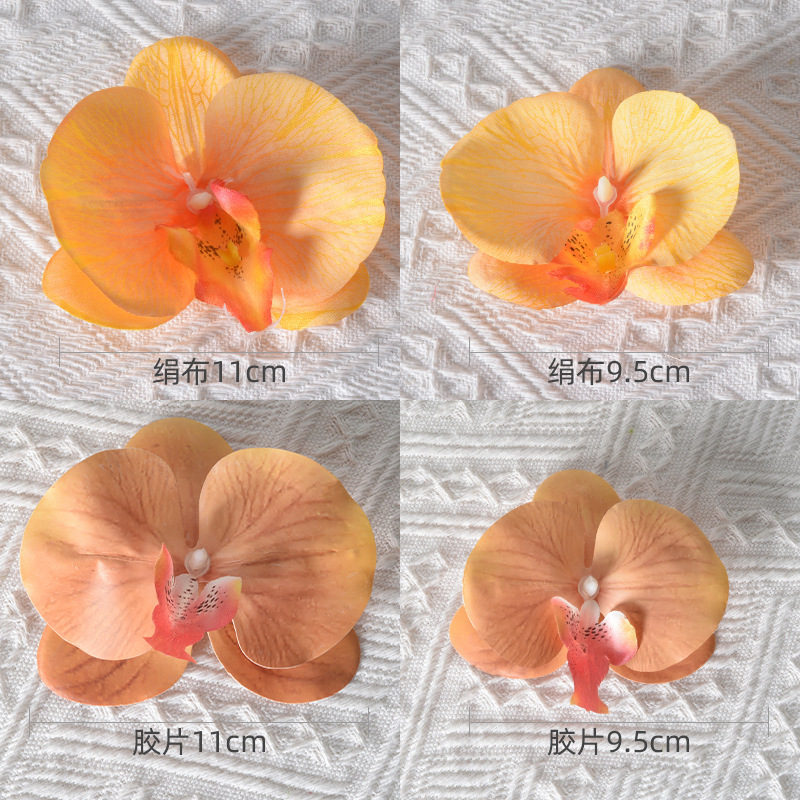 胡蝶蘭の花の頭は花びらの部品をシミュレーションします。|undefined