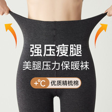10A纯棉竖条棉条连裤袜女秋冬款哑光高弹显瘦美腿压力保暖打底裤