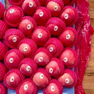 �S��ֱ�N2025�����r�O����̨�O����̨�t��ʿ�O��ɽ�|��̨�t��ʿ�O