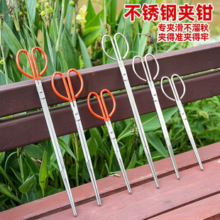 New Non-Magnetic Stainless Steel Eel Clip, Eel Clip, Loach Crab Lobster Clip, Sea Fire Pliers, Garbage Clip