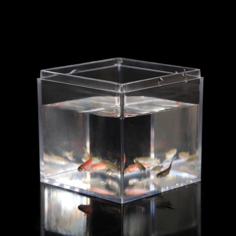 10*10 caja de moldeo por inyección cuadrada PS caja de caramelo con tapa caja de plástico transparente caja de visualización de la decoración