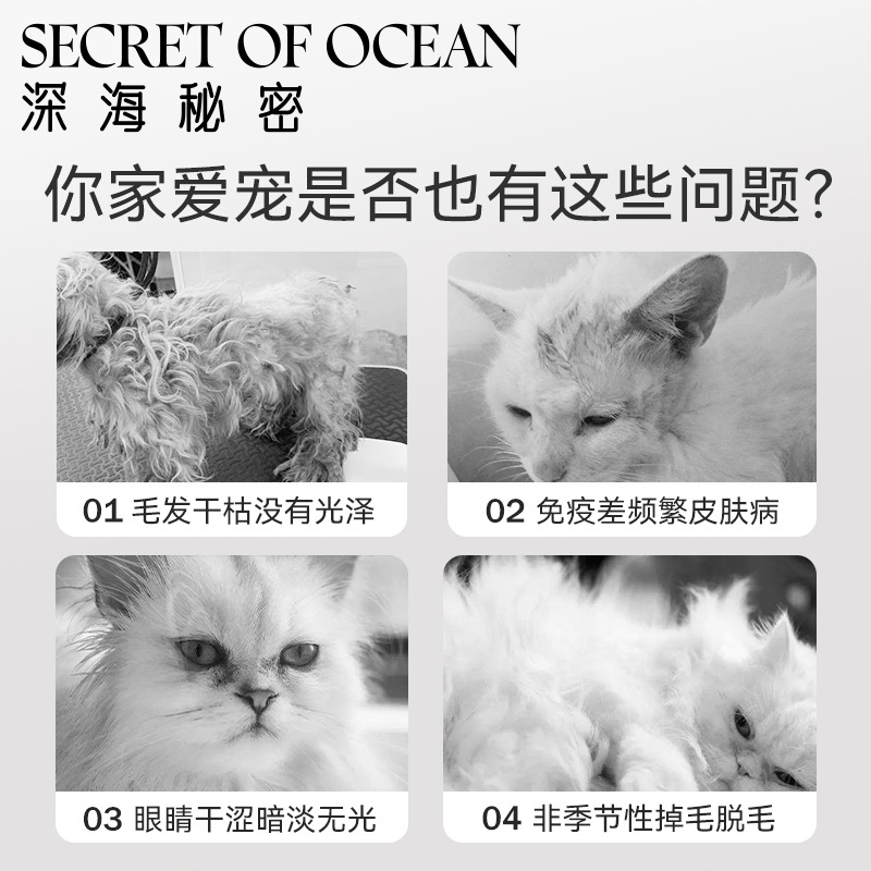 Secreto de las profundidades del mar Aceite de anchoa Cuidado de la piel para gatos Inmunidad especial para gatos Aceite de hígado de bacalao Perros Pet Prevenir la caída del cabello