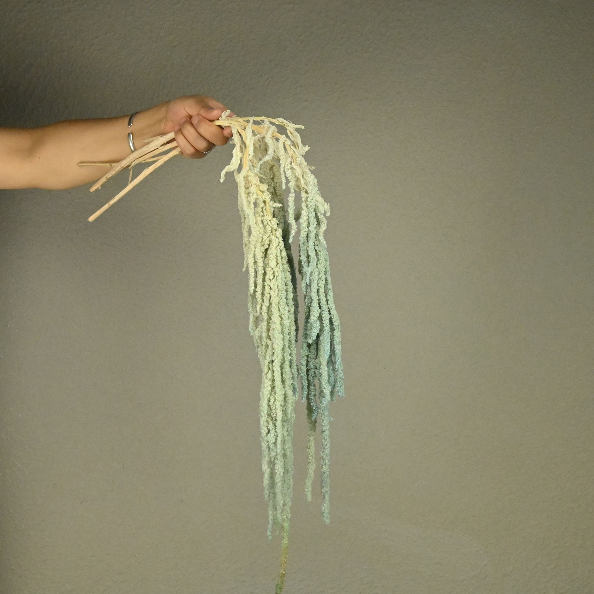 Flores fantasmas colgantes de arroz flor inmortal Juliet Amantes lágrimas colgantes de flores de decoración de bodas flores verdaderas