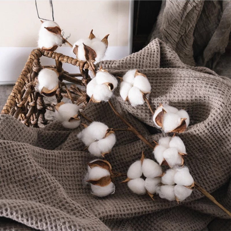 Simulación de flores secas de algodón buquete de flores inmortales de Navidad decoración de flores falsas de algodón props de disparo