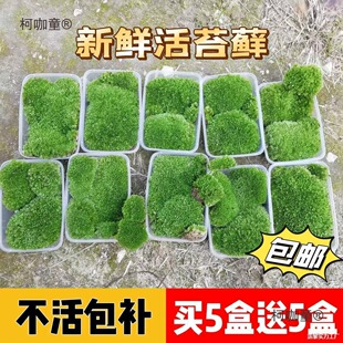 �r��l�������辰������̦΢̦�\�G�쾰����̽qֲ��ֲ���^��̫��