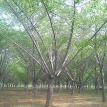 Їy֮l-Nֱ40-80yӘ ҎRȫ 