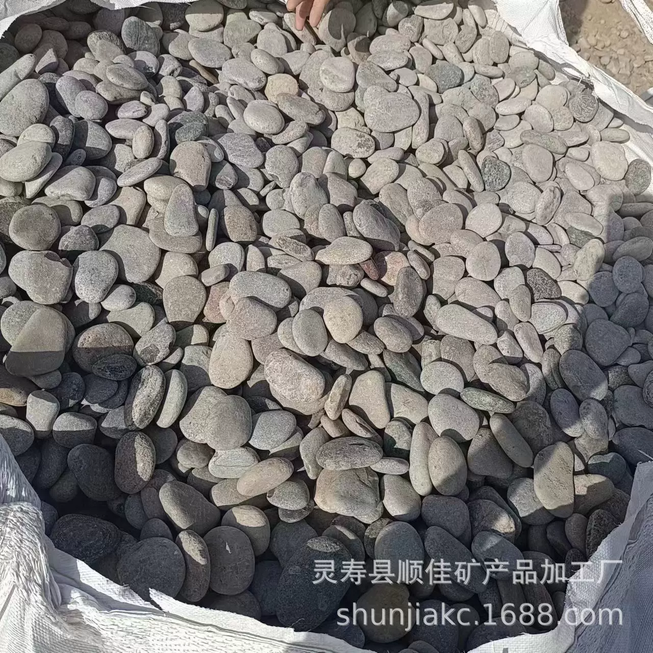 鹅卵石园林造景观景装饰用石头地暖铺设用豆石公园铺设水洗鹅卵石