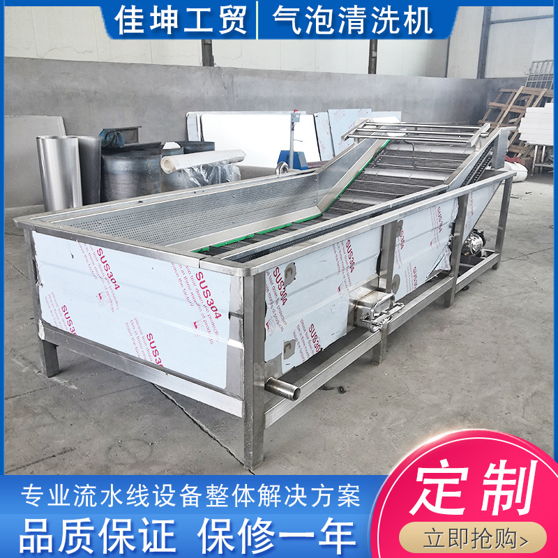 厂家供应果蔬气泡清洗机 不锈钢气泡清洗机 大枣枸杞清洗设备