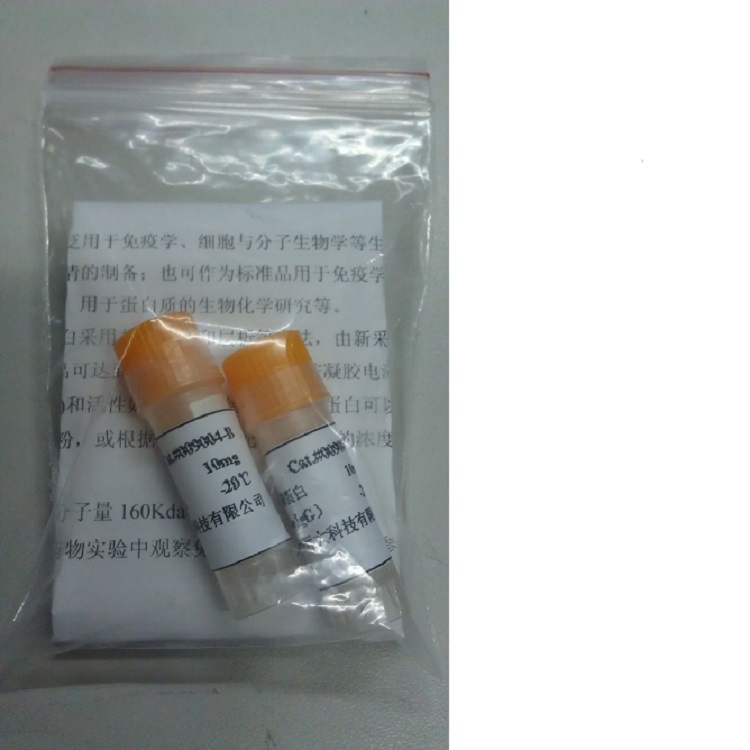 牛免疫球蛋白G(IgG)标准品 东方化玻 型号:D349194 库号：D349194