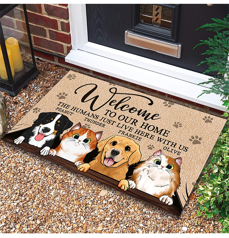 Cartoon Door Mat 1