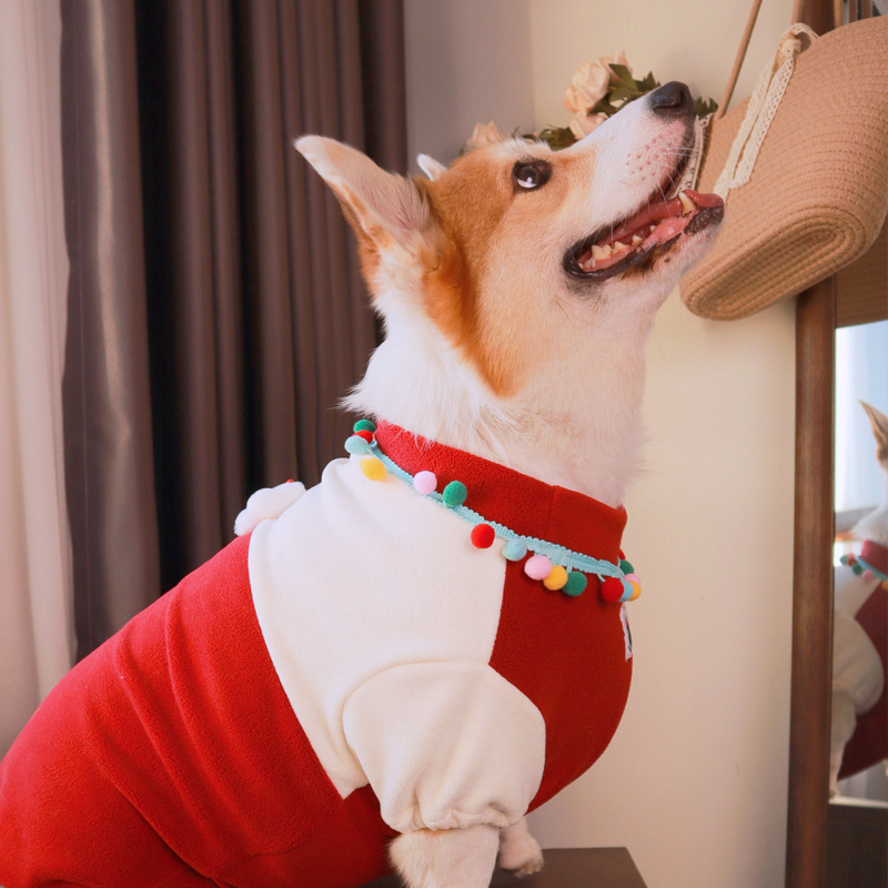 (2개) CORGI SHIBA INU 목가적 인 개 플러스 벨벳 두꺼운 오스트리아 벨벳 티셔츠 애완 동물 옷 플러시 천