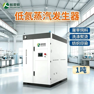 定制洗涤熨烫0.5吨蒸汽锅炉屠宰饲料1-2吨食品灭菌燃气蒸汽发生器