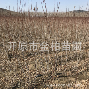 �������l�t������ �׻�������֦�����G�hС���ļ�ͥԺ���Ի���