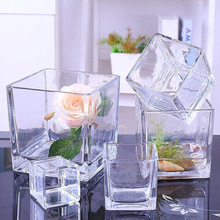 玻璃盆水培瓶正方形水培玻璃瓶透明花瓶 透明玻璃方缸銅錢草花槽