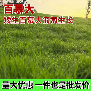 �ļ��������`̤��Ľ�����������G����ƺ�N�Ӱ�����Ƥ�ݷN