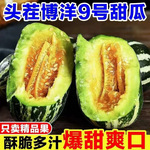 现摘头茬博洋9号甜瓜新鲜孕妇水果应季羊角蜜瓜香瓜脆瓜脆甜多汁