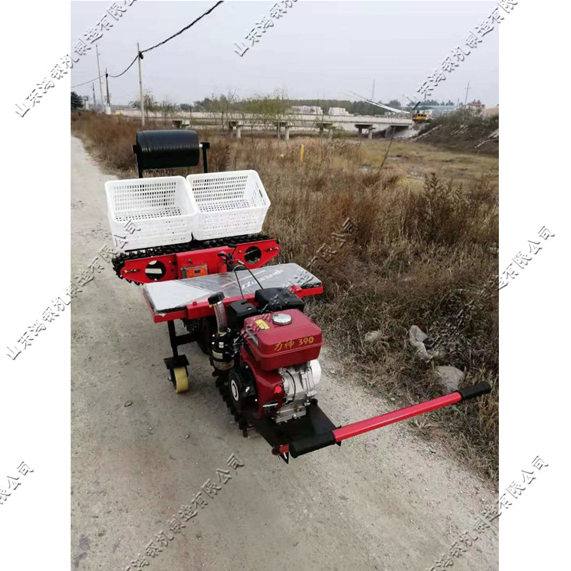 农用大葱移栽器 拖拉机悬挂式大葱移栽机 乘坐式大葱移栽设备
