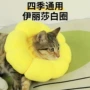 伊丽莎白四季宠物头套圈