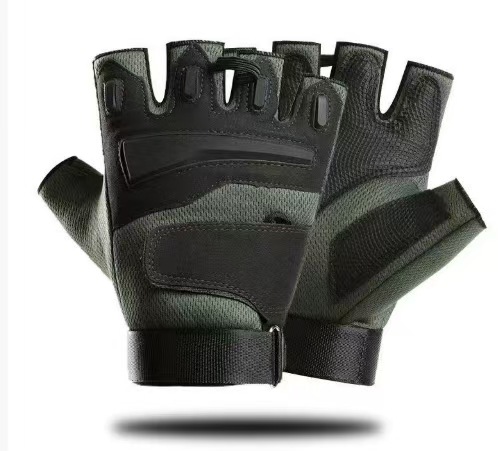 컬러 이글 그린