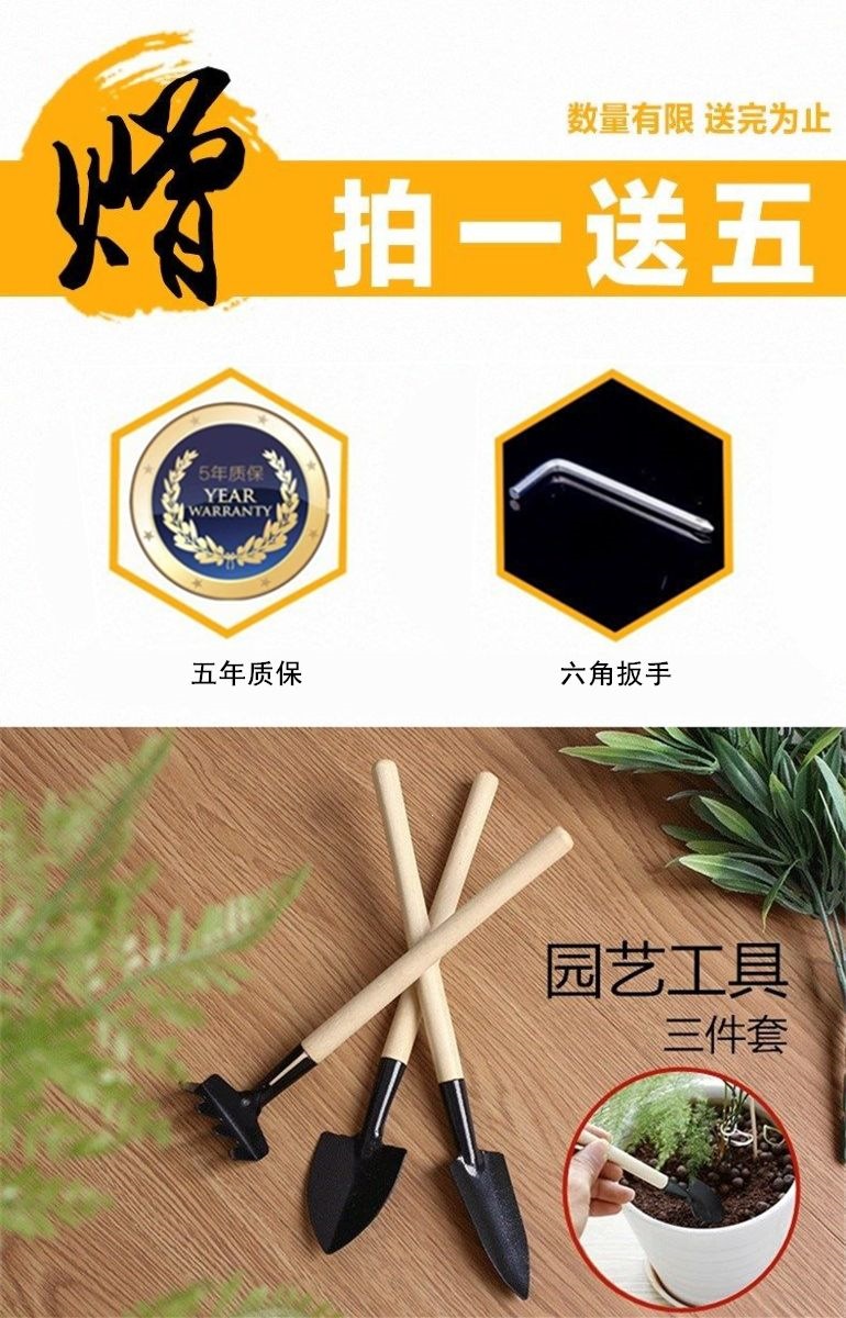 详情图