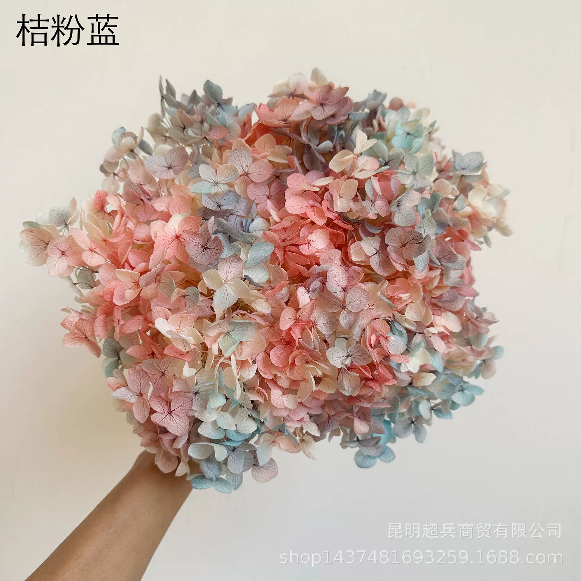 [Вечная Life Flower Hydrangea] Анна Градиентный цвет Лист Hydramid Книга цветов оптом DIY цветочная коробка материал для просмотра