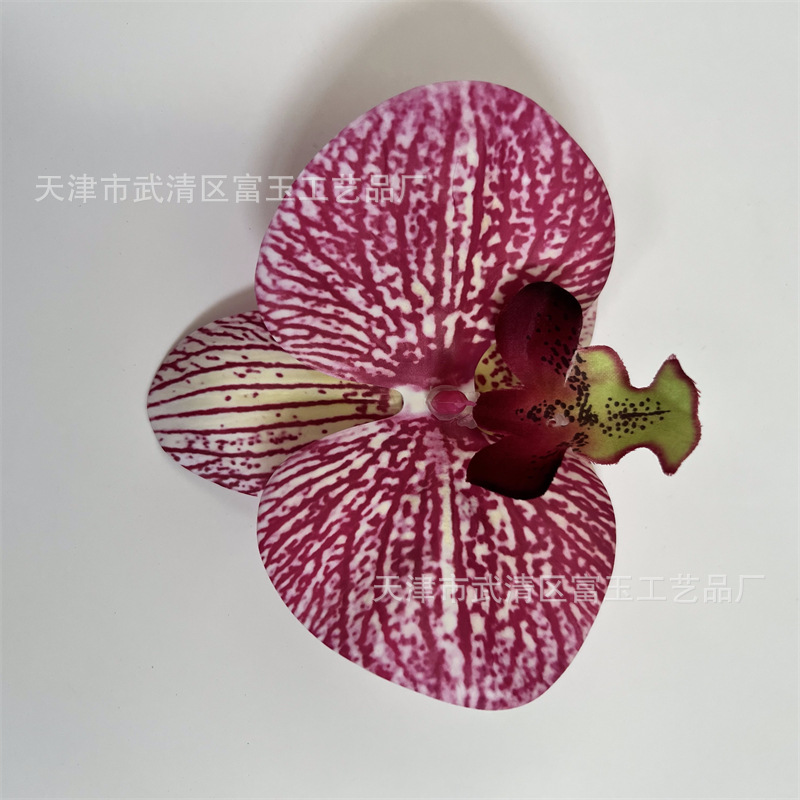 Purple color