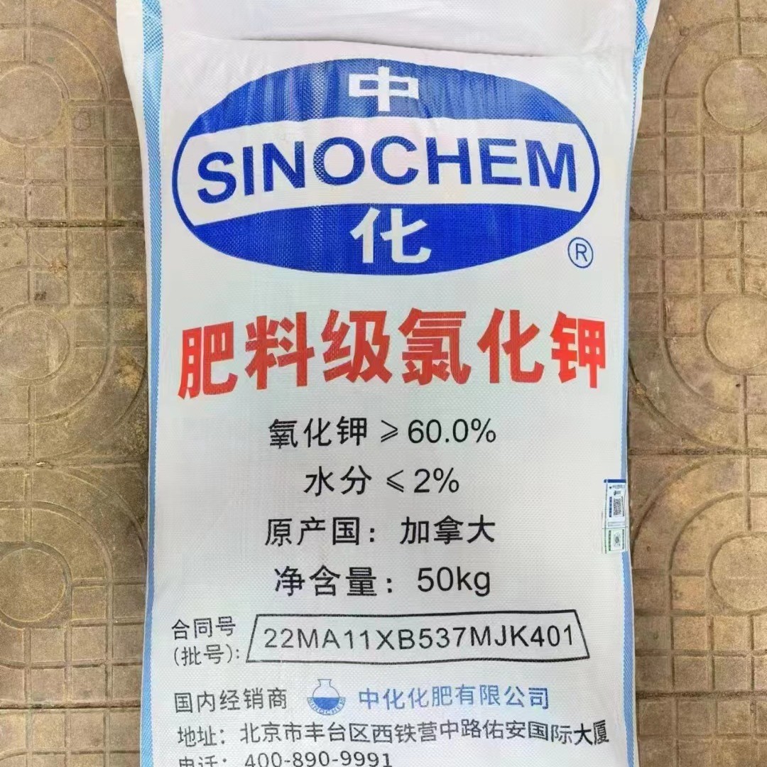 中化氯化钾 俄罗斯红钾60%红钾 1吨起发 农业级钾肥 广西氯化钾批
