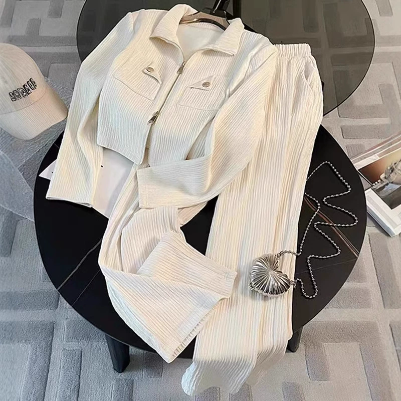 Женский спортивный костюм (стиль Chanel), двухсторонний велюровый комплект, осень–зима, размеры S–3XL