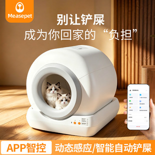 �¿�羳ȫ�Ԅ�����؈ɰ�� ��̖����؈ɰ���Ԅ�����؈����