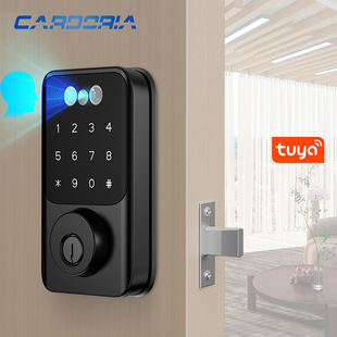 European and American Smart Fingerprint Password Lock Indoor Wooden Door Fully Automatic Face Recognition Hole-Free Graffiti Wifi Deadbolt Lock