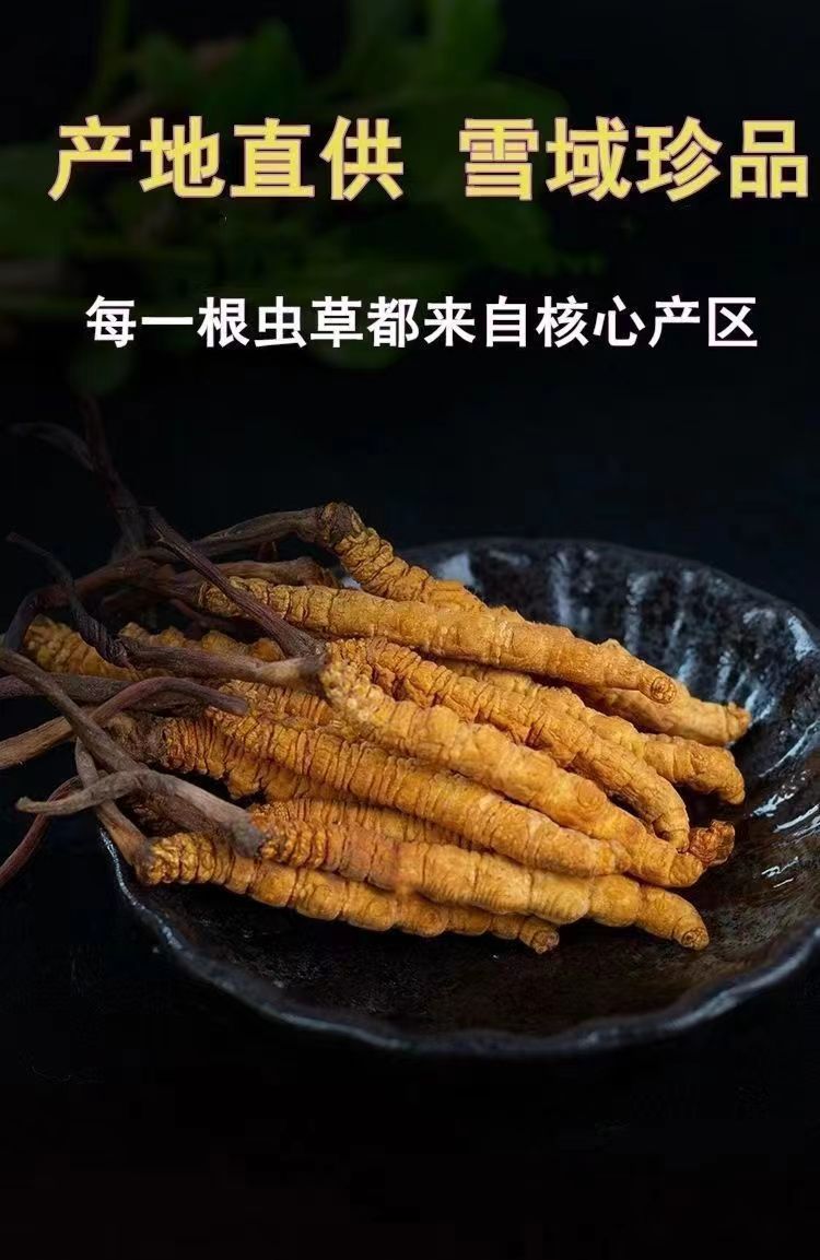 Cordyceps Sinensis Dong Chong Xia Cao Wild Caterpillar Fungus Dried Whole Pieces Nagqu Tibet Gift Box key features