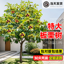 �ش�������޽����Ә�������Թ�������ϱ����Nֲ����Y�����B