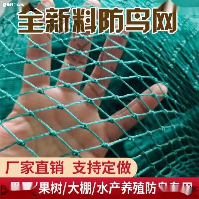 防鸟用网果树樱桃葡萄大棚果园农用防鸟网鱼塘养殖天网尼龙防老化